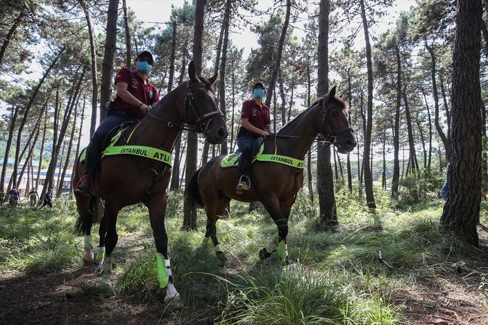 İstanbul polisinden, orman yangınlarına karşı helikopter destekli güvenlik önlemi