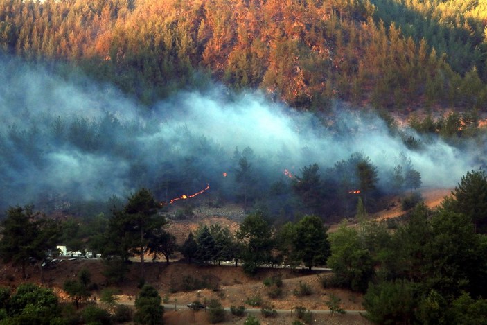 Kozan'daki orman yangınına müdahaleler sürüyor