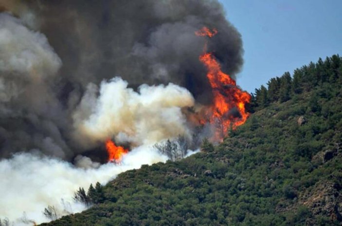 Ciğerlerimiz yanıyor: Hangi illerde yangın çıktı? 29 Temmuz yangında son durum...