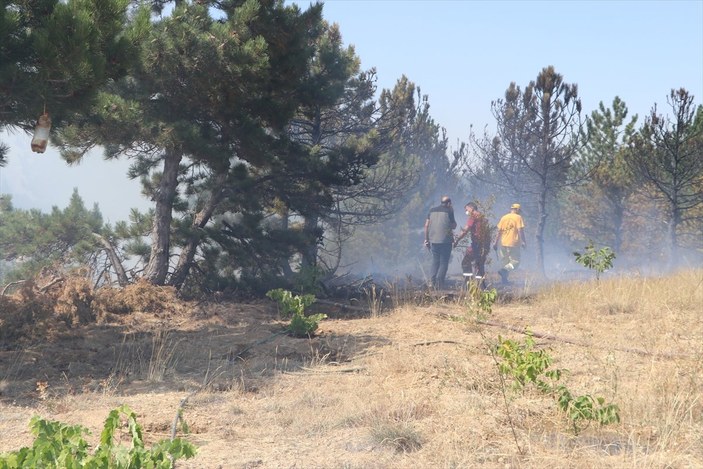 Karaman’da orman yangını