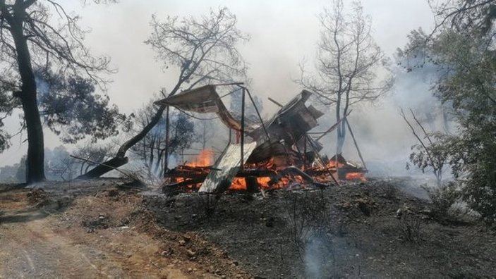 Bir kişi hayatını kaybetti! Antalya Manavgat'taki yangın neden çıktı? Manavgat yangını sabotaj mı kaza mı?