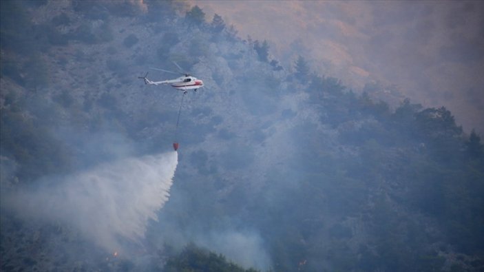 Bodrum ve Didim'de orman yangını çıktı