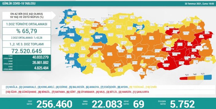 30 Temmuz Türkiye'de koronavirüs tablosu