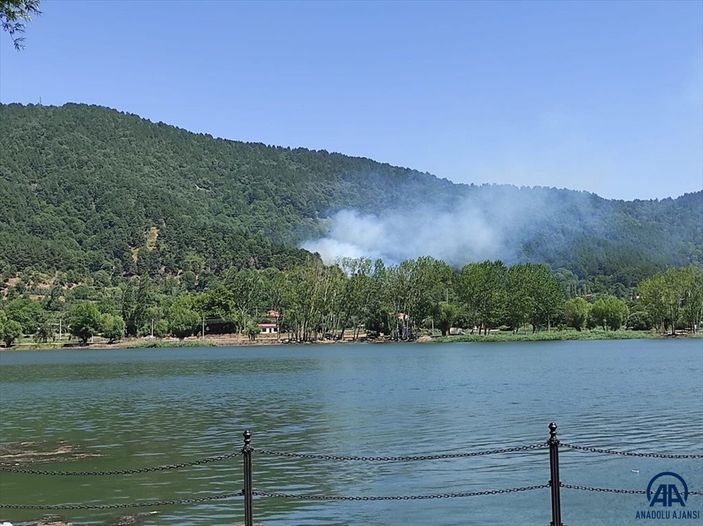 İzmir'de orman yangını çıktı
