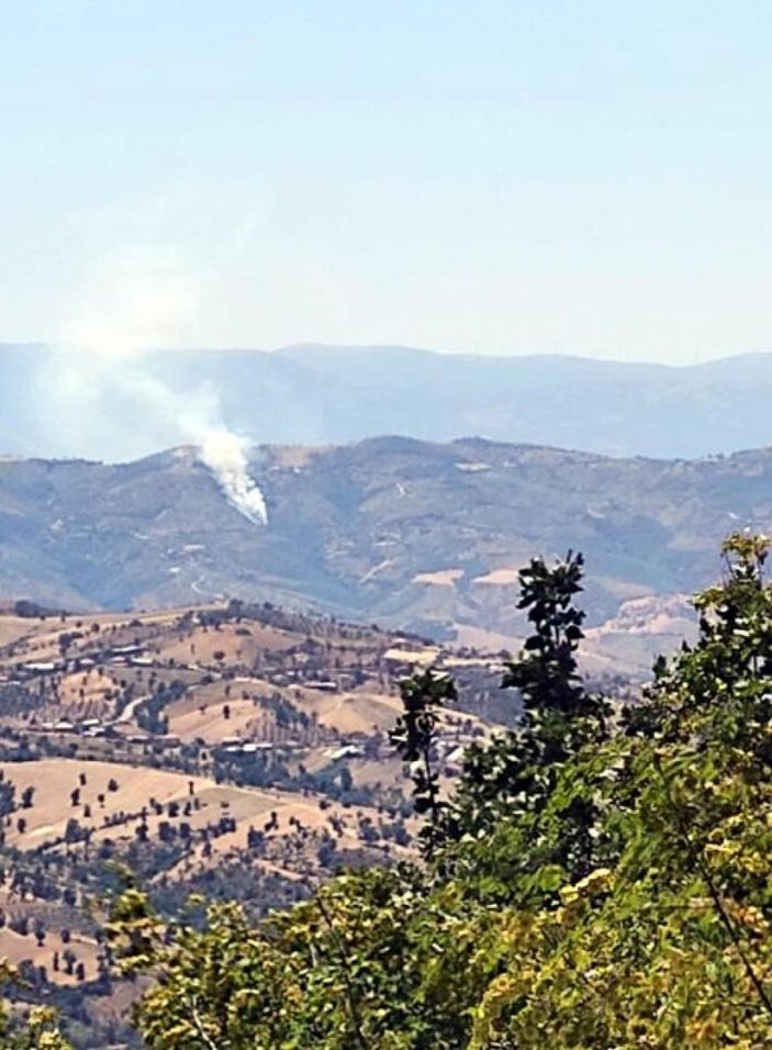 İzmir'de orman yangını çıktı