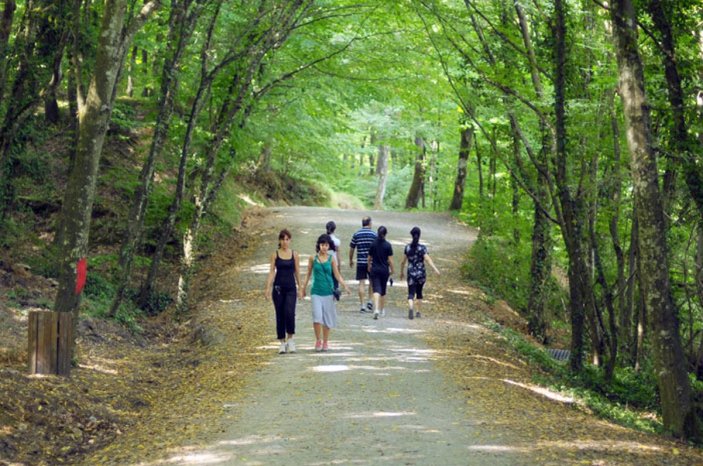 İstanbul'da ormanlara girmek yasak mı? Valilik duyurdu: Piknik, yürüyüş, mangal...