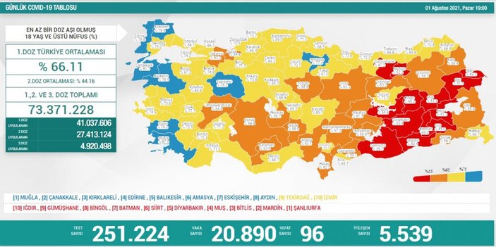 1 Ağustos Türkiye'de koronavirüs tablosu
