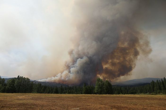 r ABD'de orman yangınları devam ediyor