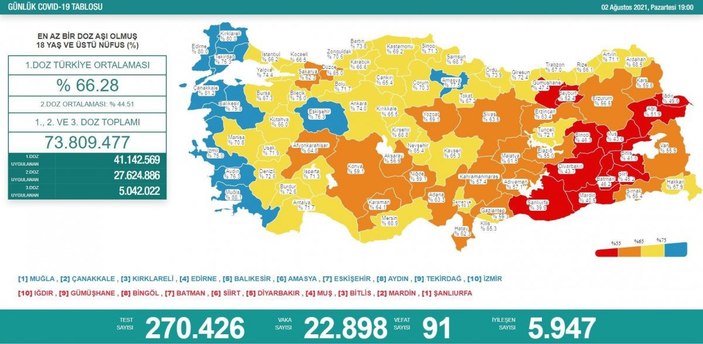 Bugün vaka sayısı kaç, kaç kişi öldü? 2 Ağustos koronavirüs tablosu