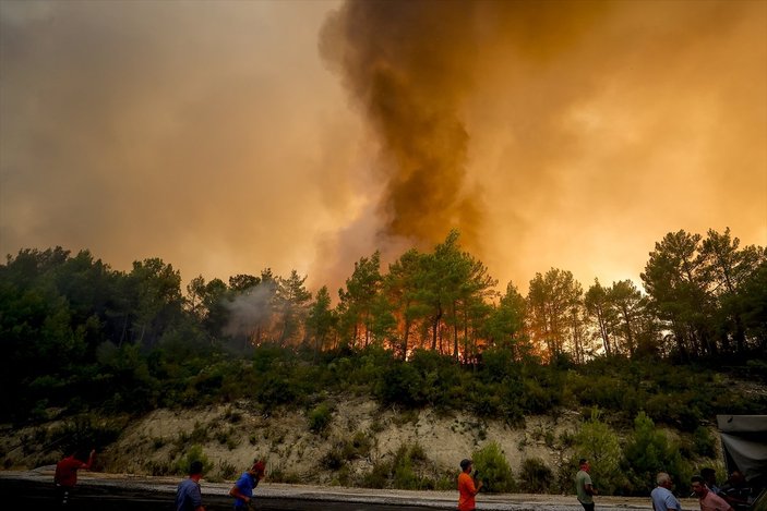 Türkiye'de orman yangınlarının devam ettiği bölgeler