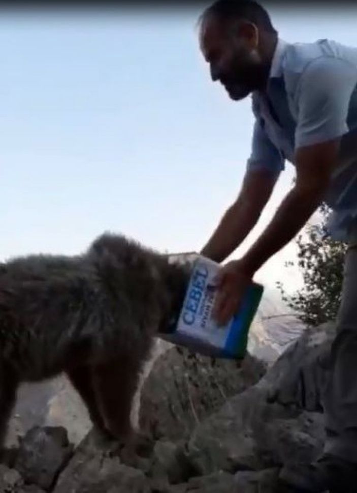 i Hakkari’de başı teneke kutuya sıkışan ayıyı vatandaşlar kurtardı