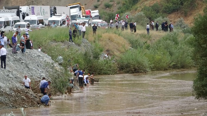 Zap Suyu'nda binlerce balık öldü, sağ kalanları ise düğüncüler kaptı