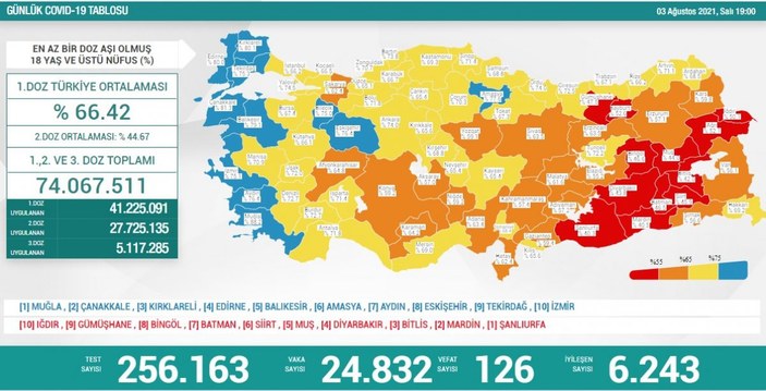 3 Ağustos Türkiye'de koronavirüs tablosu