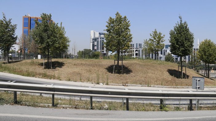 İstanbul'daki yeşillik alanlar kuruyor