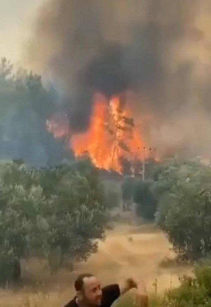Isparta'da patlayan kozalaklar, saniyeler içinde orman yangınını büyüttü