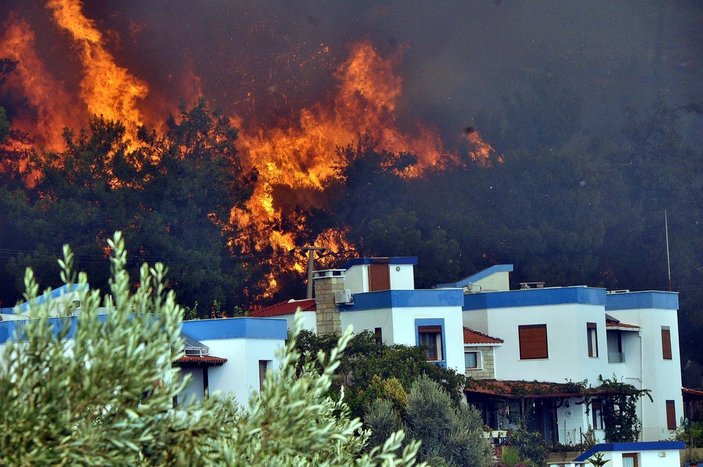 Muğla'da yangın yazlık villalara sıçradı