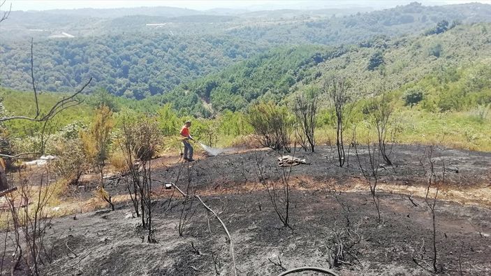 Zonguldak'ta ormanlık alanda çıkan yangın söndürüldü