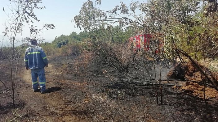 Zonguldak'ta ormanlık alanda çıkan yangın söndürüldü