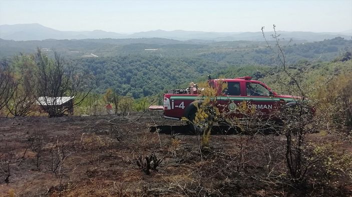 Zonguldak'ta ormanlık alanda çıkan yangın söndürüldü