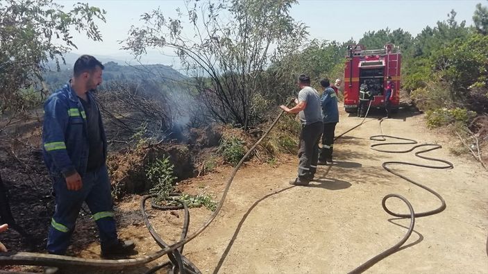 Zonguldak'ta ormanlık alanda çıkan yangın söndürüldü