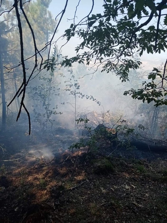 Bursa'da ormanlık alanda çıkan yangın söndürüldü