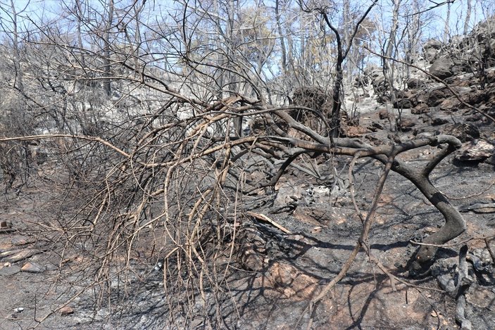Marmaris'teki yangında evi son anda kurtulan Mesut Akgül: Cehennemden bir önceki evreydi