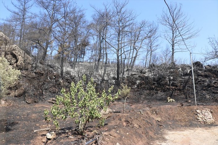 Marmaris'teki yangında evi son anda kurtulan Mesut Akgül: Cehennemden bir önceki evreydi