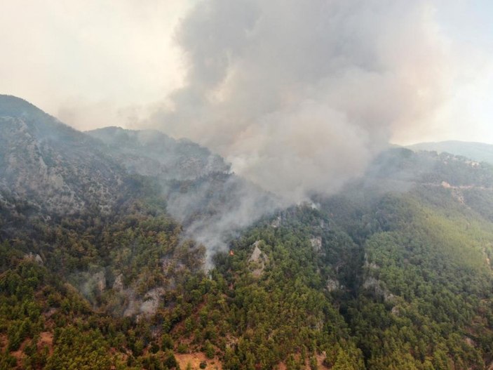 Muğla'da 40 bin hektarlık alan yangından zarar gördü