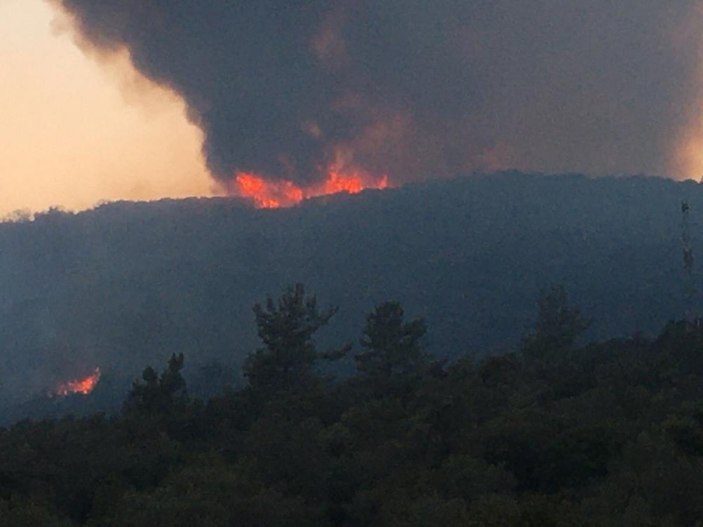 Muğla'da 40 bin hektarlık alan yangından zarar gördü