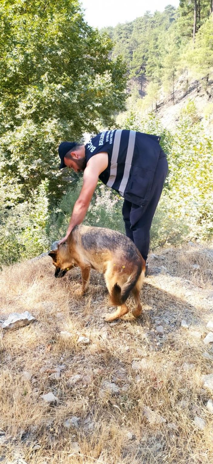 Antalya'da yangın görevlisi, yemeğini köpekle paylaştı