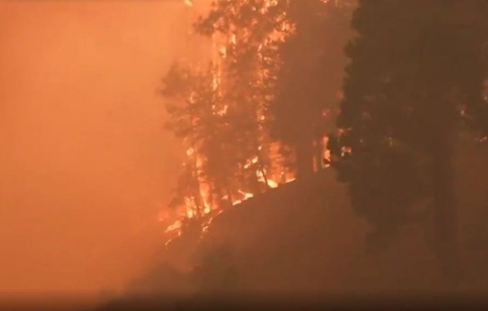 Kaliforniya'da orman yangını yeniden büyümeye başladı