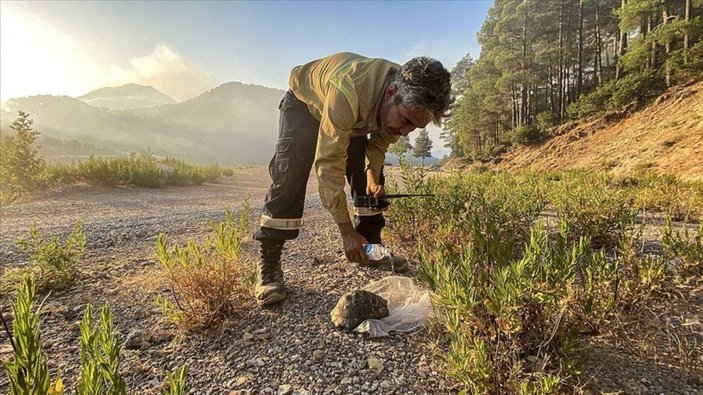 Gündoğmuş'taki yangında mahsur kalan kaplumbağa, orman işçilerince kurtarıldı