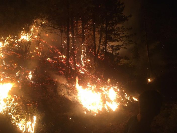 d Aydın'da bir mahallede kısmi tahliye