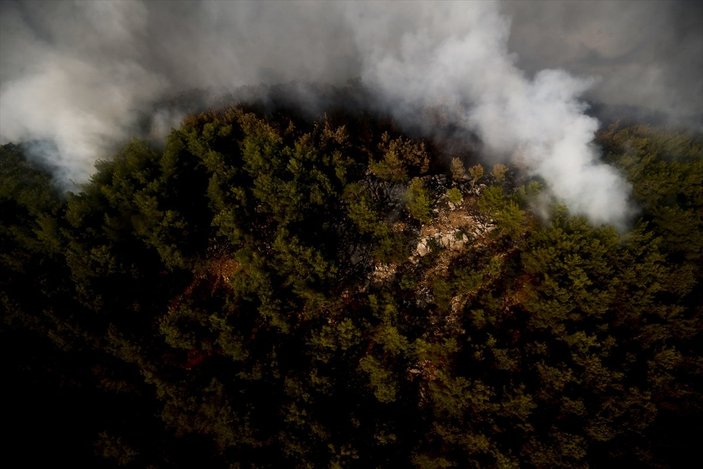 Orman yangınlarında uçakların etkin rolü