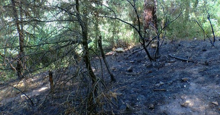 Aydos Ormanı’nda çıkan yangın söndürüldü