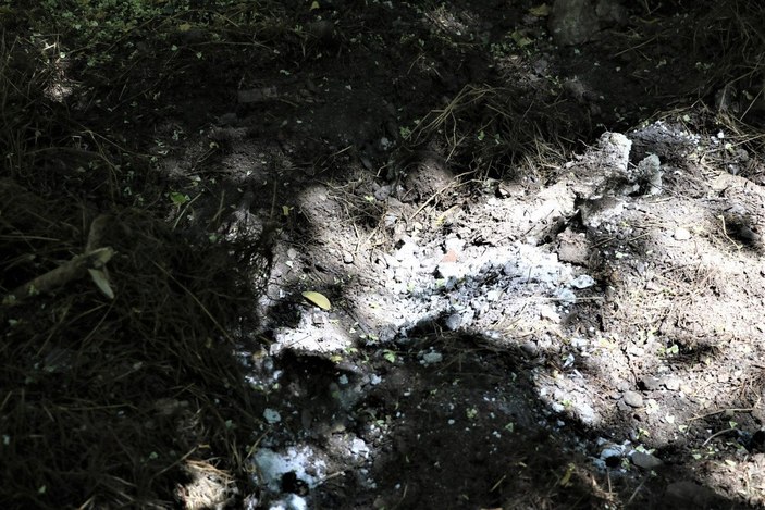 Ankara'da bahçesinde 10 köpek ölüsü bulundu