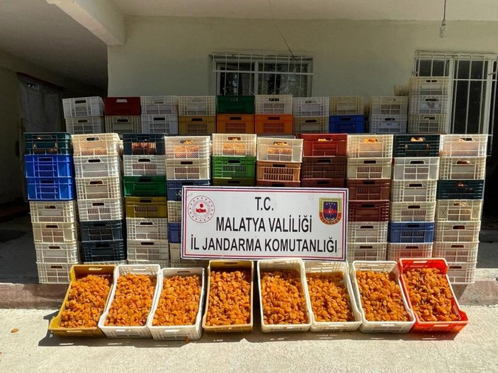 Malatya'da 2,5 ton kuru kayısı çaldılar