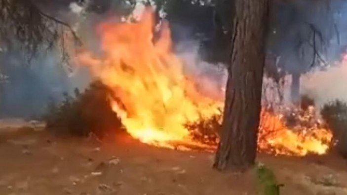 Mersin'de yaylalarda çıkan yangınlar paniğe neden oldu