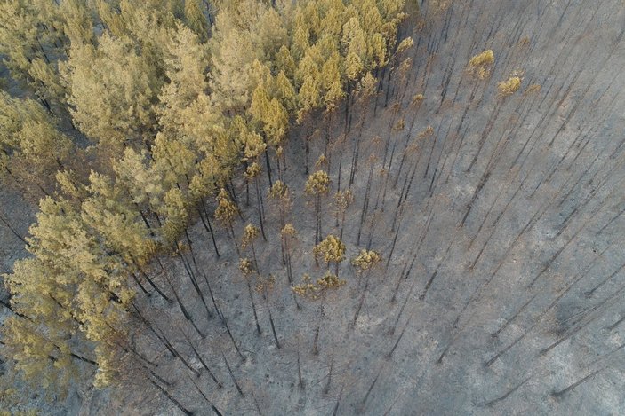 Muğla’da yanan ormanlık bölge havadan görüntülendi