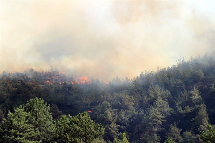 Karabük'te orman yangını çıktı