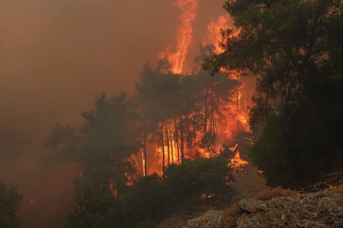 Muğla'da 9 gündür süren orman yangını, geceyi aydınlattı