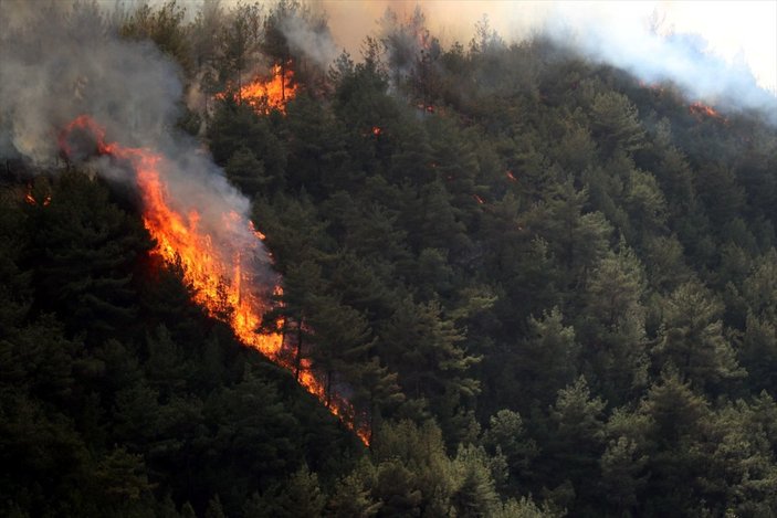 Orman yangınlarıyla mücadelede son durum