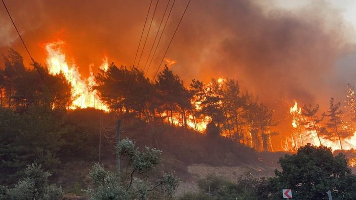 Muğla'da 9 gündür süren orman yangını, geceyi aydınlattı