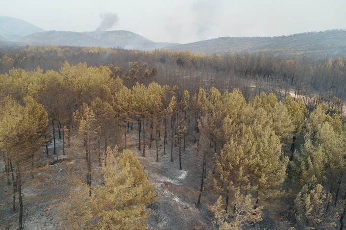 Muğla’da yanan ormanlık bölge havadan görüntülendi