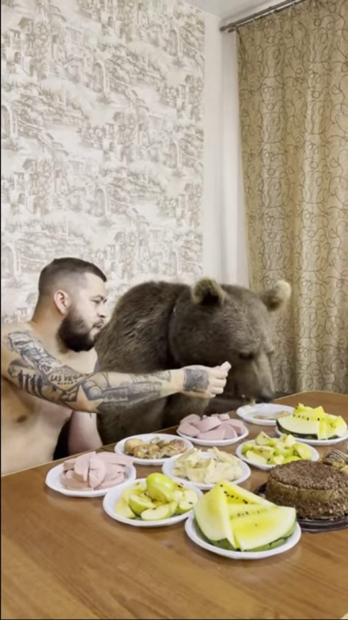 Rusya'da ayısıyla birlikte yemek yiyerek, çizgi film izledi