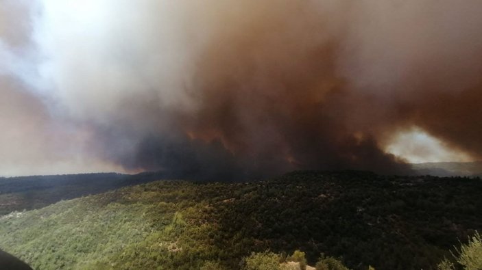Yangın ekolojisi uzmanı, Manavgat yangınını değerlendirdi