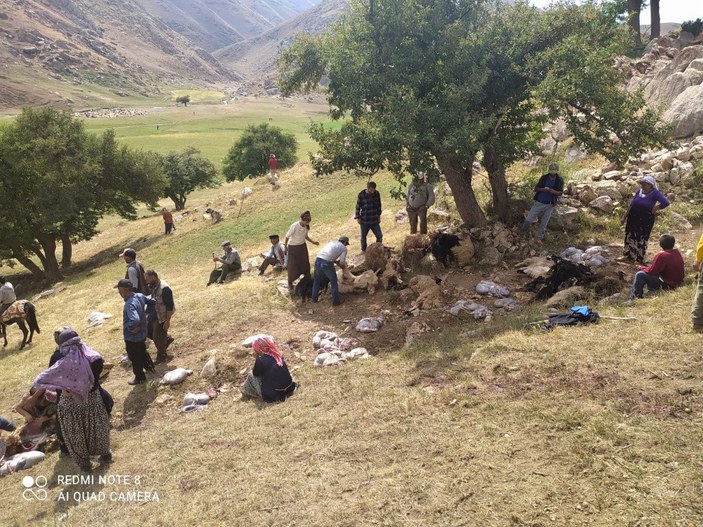 Yüksekova'da yıldırım isabet eden 30 koyun öldü