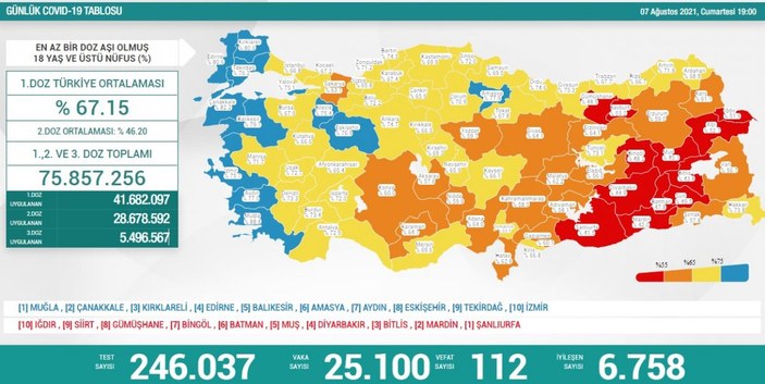 7 Ağustos Türkiye'de koronavirüs tablosu