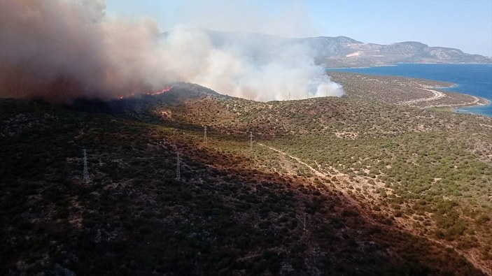 İzmir Urla'da orman yangını
