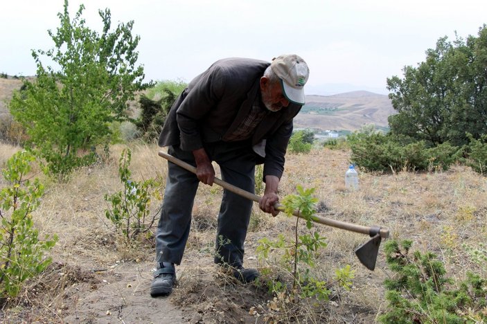 Nevşehir'de, 34 yıl boyunca her gün ağaç dikti